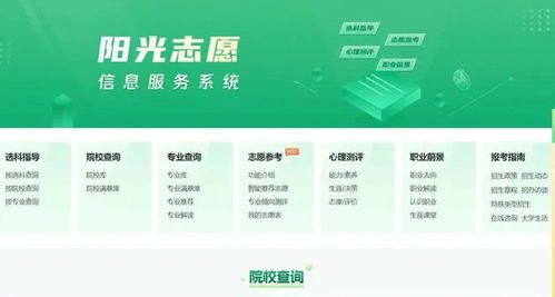 市場的喧囂與考生的心聲 中高考志愿填報咨詢產業的雙重奏